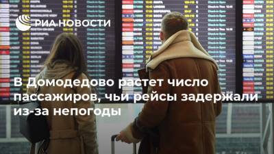 В Домодедово растет число пассажиров, чьи рейсы задержали из-за непогоды