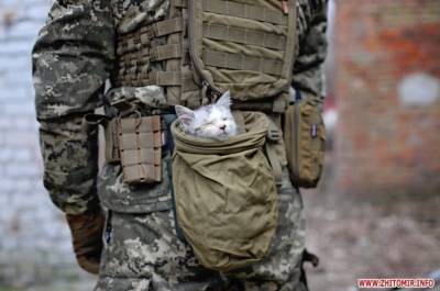 В Житомире десантники сфотографировались с бездомными животными: фото