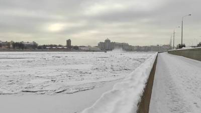 Спасатели вызволили чайку из ледяного плена на Свердловской набережной