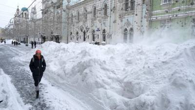 В Москве нынешний день стал вторым самым снежным за 142 года