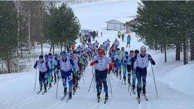 Этап Кубка мира по лыжным гонкам в Чехии отменен из-за COVID-19
