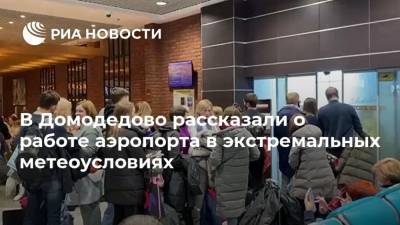 В Домодедово рассказали о работе аэропорта в экстремальных метеоусловиях