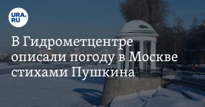 В Гидрометцентре описали погоду в Москве стихами Пушкина