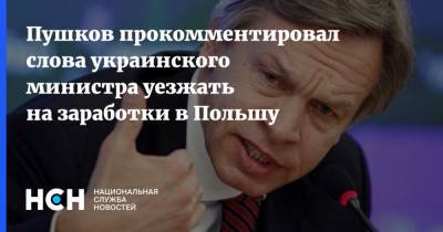 Пушков прокомментировал слова украинского министра уезжать на заработки в Польшу