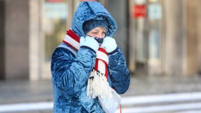 Мороз и солнце прогнозируются в Москве с 15 февраля