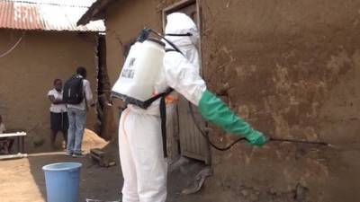 В Гвинее впервые за пять лет зафиксированы смертельные случаи Эболы