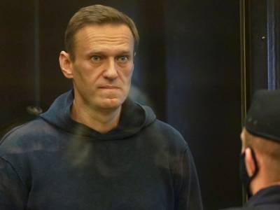 Адвокаты Навального обратились в Совет Еропы