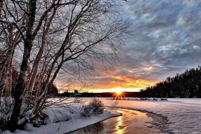 Долгожданная оттепель нагрянет в Новосибирск уже на неделе: погода на 15-21 февраля