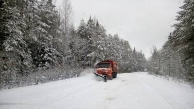 Аномальная зима: Саратов вновь завалит снегом