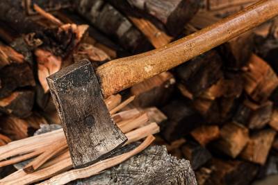 Ульяновец незаконно нарубил дров на миллион рублей