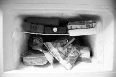 Названы сроки хранения продуктов различных видов в морозилке