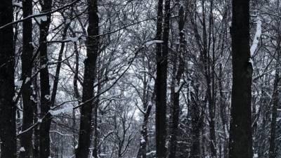 В День всех влюбленных в Петербурге ожидается мороз и снег