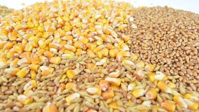 AgResource: мировые цены на зерно продолжат расти