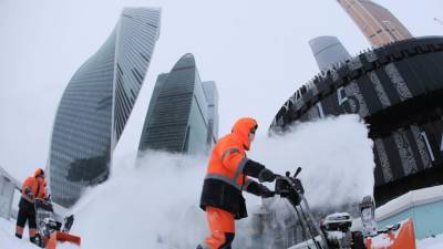 Синоптик назвал уровень снежного покрова в Москве