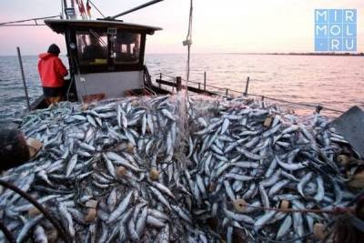 Дагестанские рыбаки за один месяц превысили годовые показатели вылова рыбы