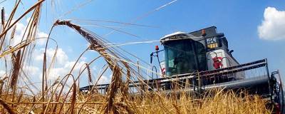 Путин подверг критике субсидирование экспорта зерна при росте мировых цен