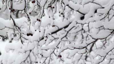 Синоптик спрогнозировал морозную неделю в Коми