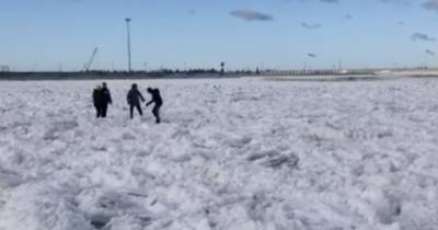 Очевидцы: у побережья в Пионерском школьники катались на льдинах (видео)