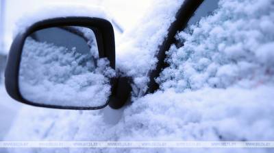 МЧС рекомендует при сильном снеге и метели парковать автомобили вдали от деревьев