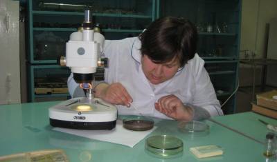 Около «ЗапСибНефтехима» в Тобольске обнаружили новый для науки вид грибов