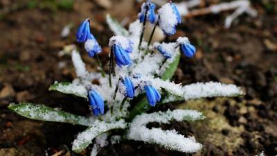 Климатическая весна в Москве наступит не раньше середины апреля