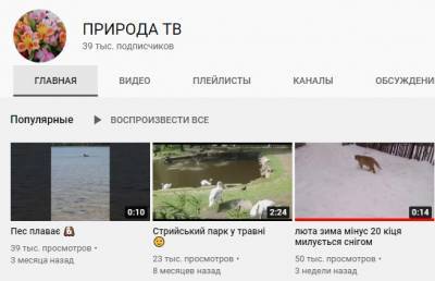 YouTube-канал о животных украинской школьницы стал популярным благодаря рукописному объявлению – Учительская газета