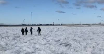 Очевидцы: у побережья в Пионерском школьники катались на льдинах