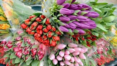 «8 марта не будет!» — владельцы цветочных магазинов бьют тревогу