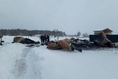 На месте сгоревшего дома в Тверской области нашли труп пенсионерки