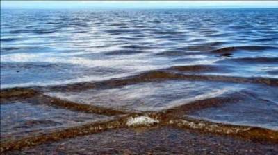 Квадратные волны: какую угрозу таит в себе «море в клеточку» (6 фото)