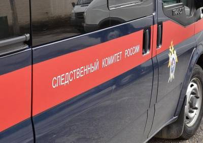 На детской площадке в Санкт-Петербурге найдено тело 10-летней школьницы