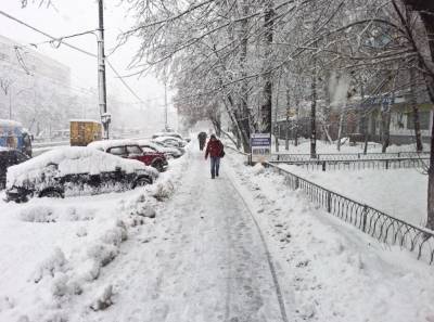 На Сретение в Украине будет властвовать морозный антициклон: синоптик прогнозирует очень холодную неделю