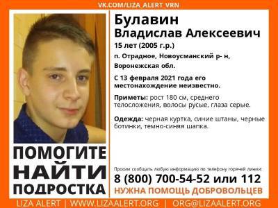 Пропавшего 15-летнего мальчика ищут под Воронежем