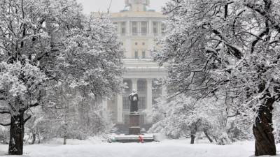 Ученые из МГУ подтвердили рекорд Москвы по количеству выпавшего снега