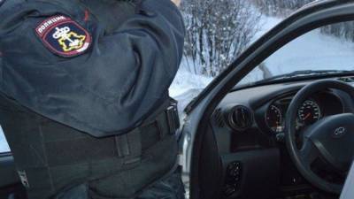 Полиция Воронежа ищет водителя, насмерть сбившего пенсионера у обочины