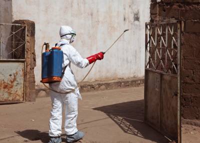 В Гвинее началась эпидемия Эболы
