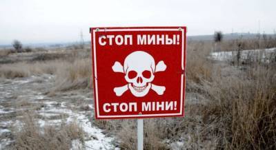 В Киеве признали, что группа карателей самоликвидировалась – открыто уголовное производство