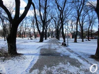 Погода в Одессе 15 февраля: будет морозно и скользко
