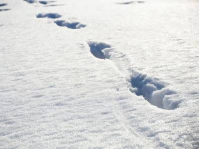 Житель Черниговской области заявил об убийстве отчима, чтобы ему почистили снег