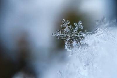 Понедельник в Смоленской области обещает крепкий мороз