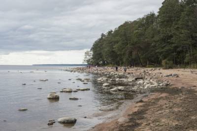 В акватории Финского залива обнаружен двухнедельный труп