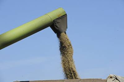 Правительство установило тариф на экспорт зерна
