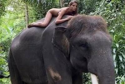 Дочь теннисиста Кафельникова снялась обнаженной верхом на слоне