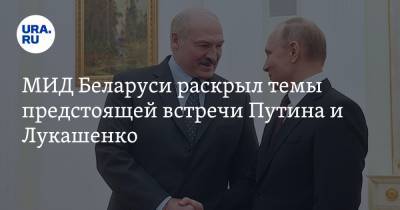МИД Беларуси раскрыл темы предстоящей встречи Путина и Лукашенко