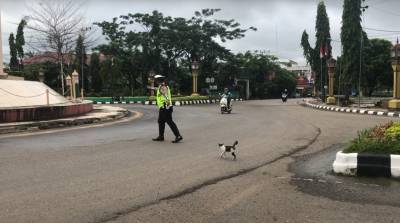 Милота дня: полицейский остановил движение, чтобы котик перешел дорогу (видео)