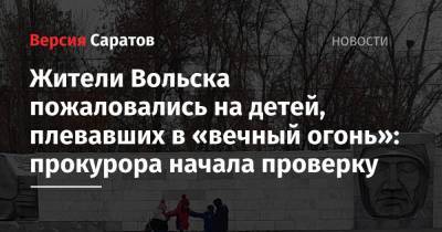 Жители Вольска пожаловались на детей, плевавших в «вечный огонь»: прокурора начала проверку