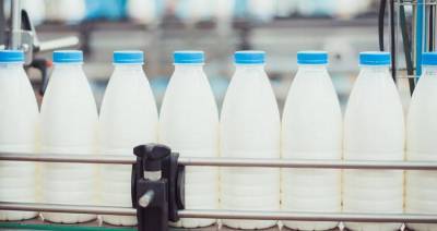 Беларусь планирует за 5 лет увеличить производство молока почти на 15 %
