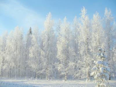 Мороз в Липецке крепчает: в понедельник похолодает до -22