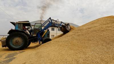 Россия ввела квоту на экспорт зерна в 17,5 млн тонн