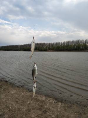 Какие нововведения внесены для рыбаков в Астрахани?